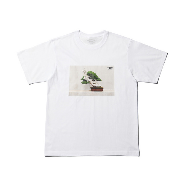 BONSAI PHOTO T-SHIRT　-真柏- 詳細画像